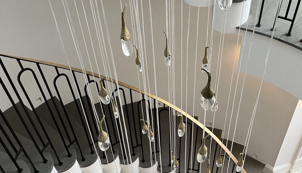 park farm - IMG_2121